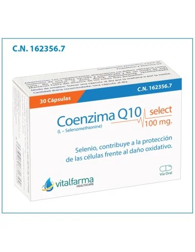 chachifarma-2470852