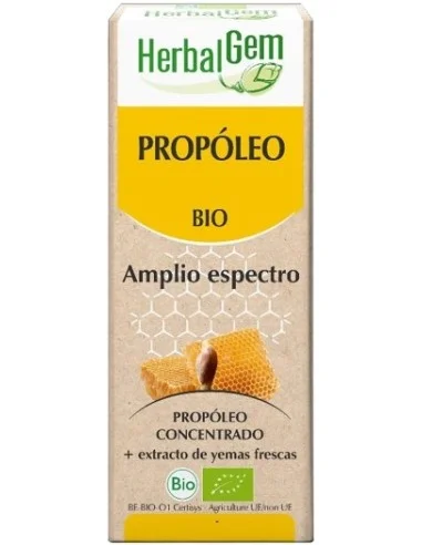 chachifarma-2473715