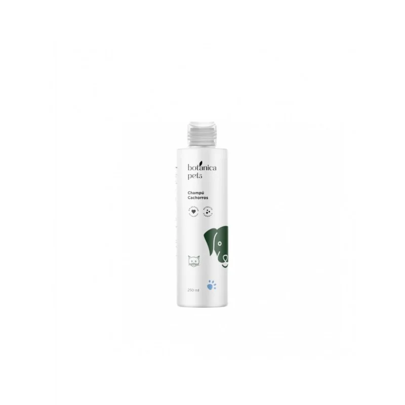 farmaciacuadrado-2605712