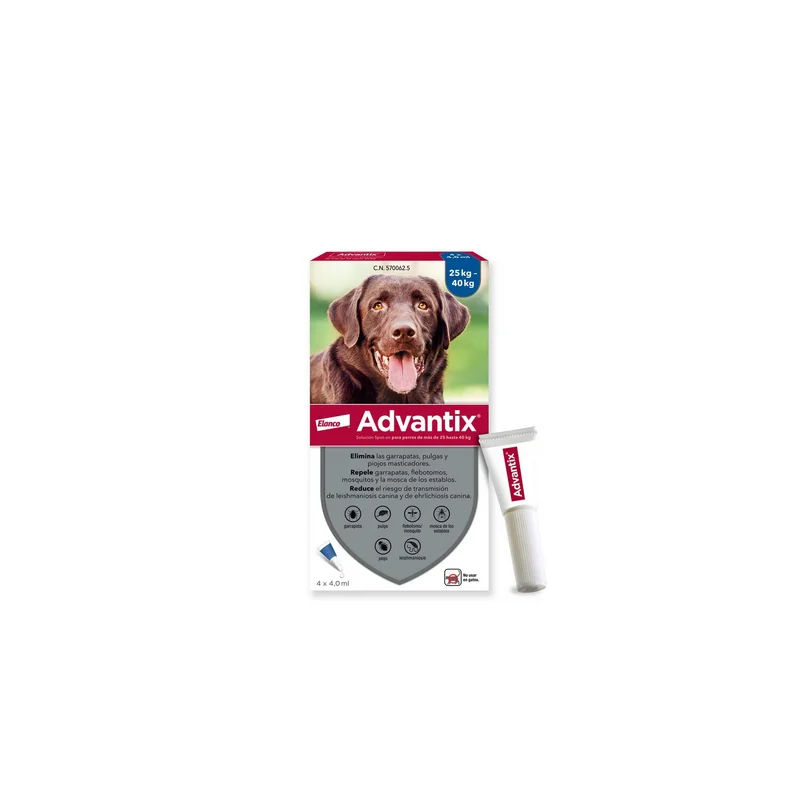 farmaciacuadrado-2605886
