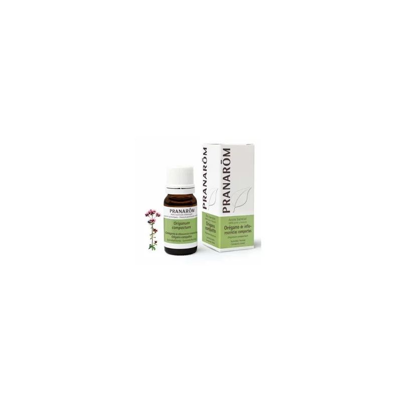 farmacianuriaguillen-2463771