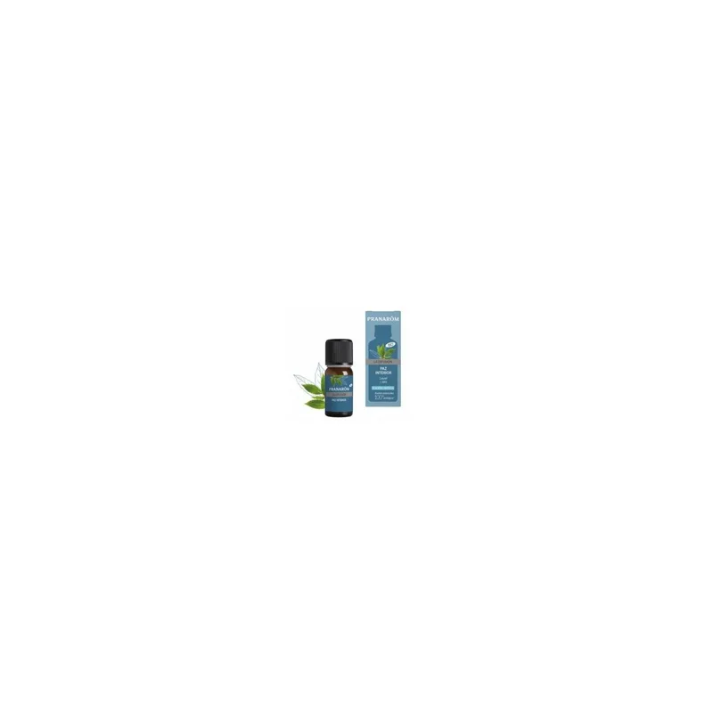 farmacianuriaguillen-2464088