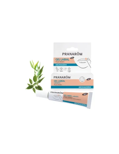 farmaciapellicer-2538715