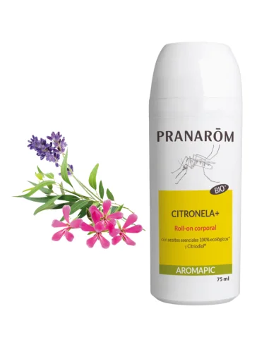 pharmashop-2494078